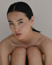 Load image into Gallery viewer, Magus mixed earrings